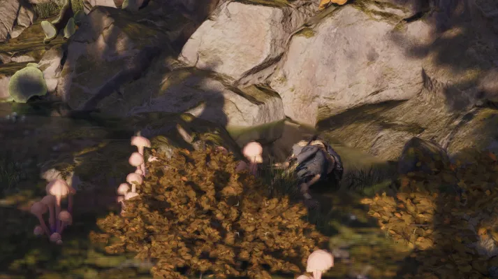 โครงกระดูก