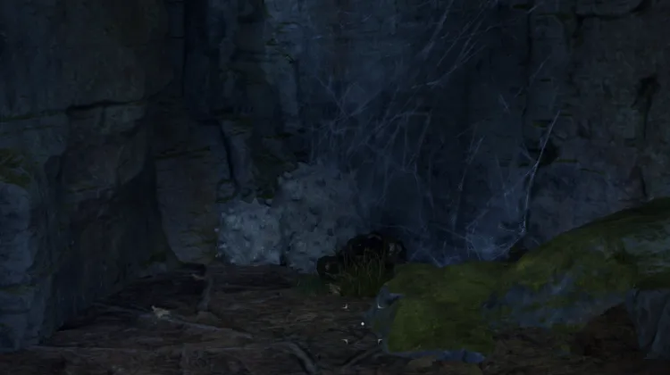 โครงกระดูก