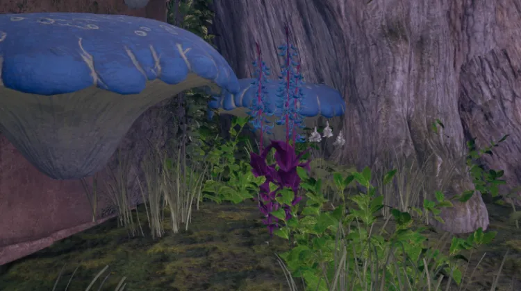 हाइलिया का पंजा