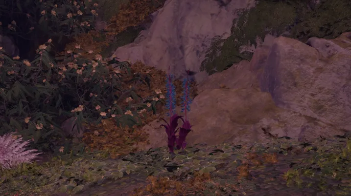 हाइलिया का पंजा