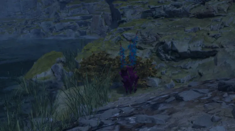 हाइलिया का पंजा