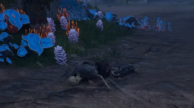 โครงกระดูก