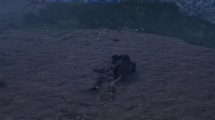 โครงกระดูก