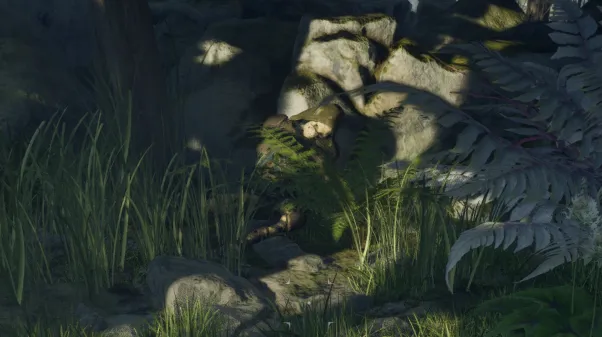 โครงกระดูก