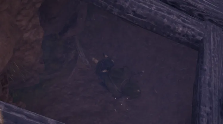 โครงกระดูก