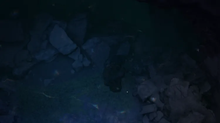 โครงกระดูก