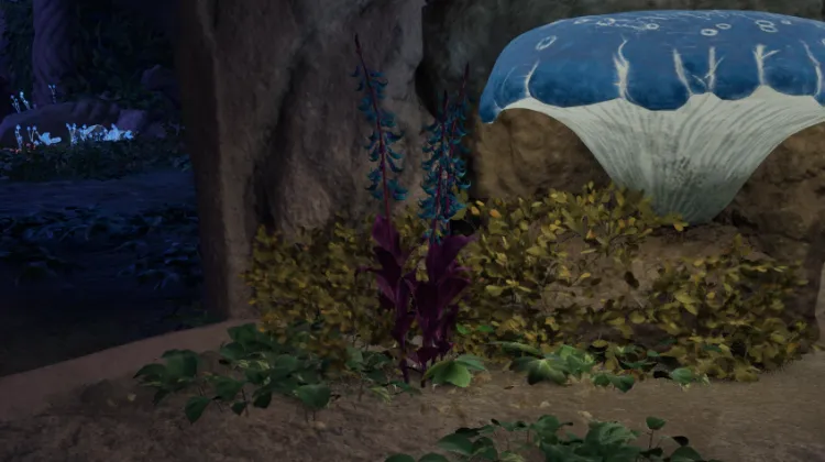 हाइलिया का पंजा