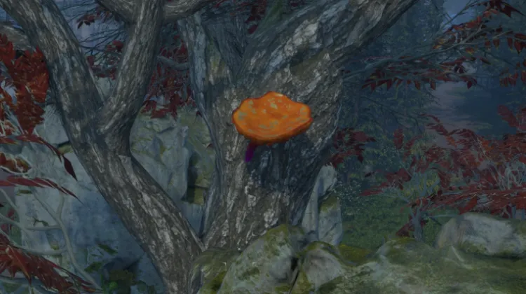 Benedizione di Magran