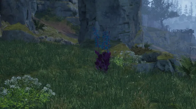 हाइलिया का पंजा