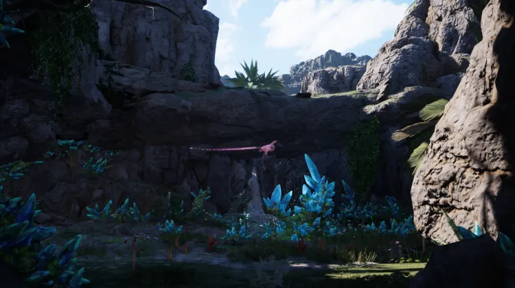 Glencross Lifespring