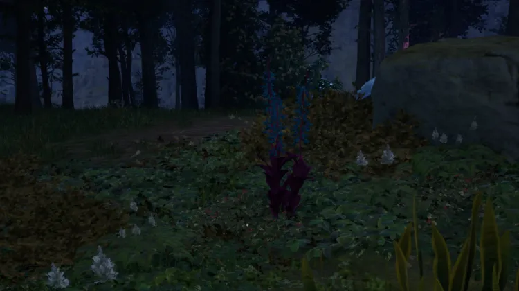 हाइलिया का पंजा