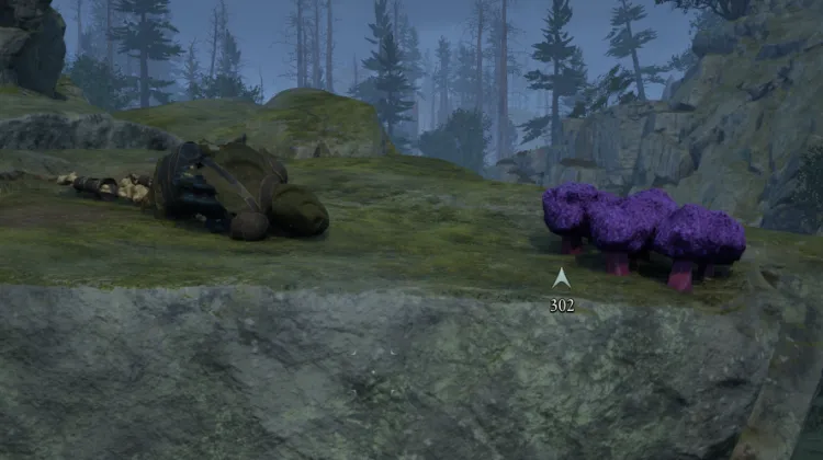 โครงกระดูก