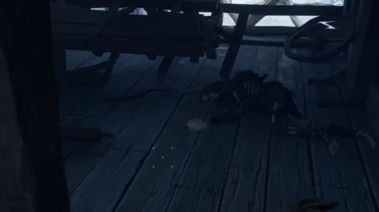 โครงกระดูก