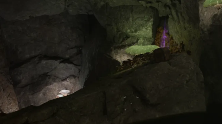 หีบล็อค