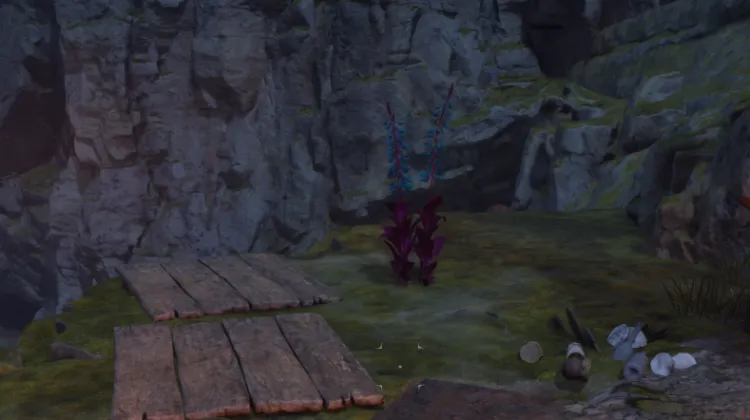 हाइलिया का पंजा