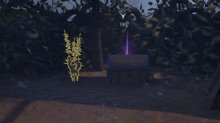 हाइलिया का पंजा