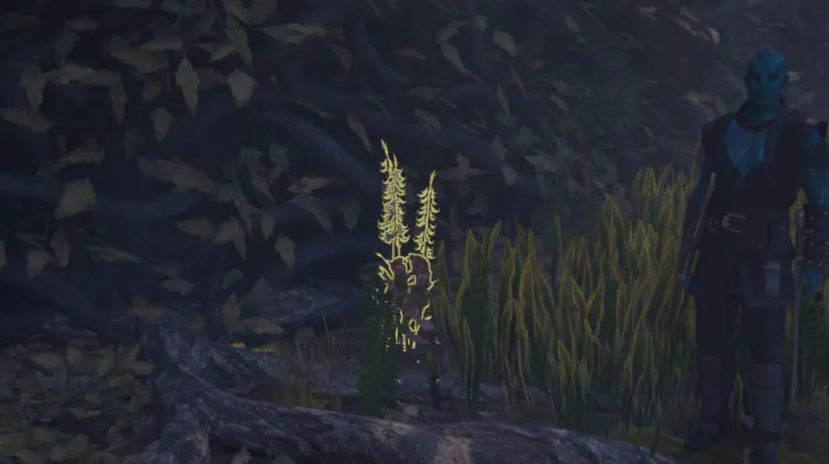 हाइलिया का पंजा