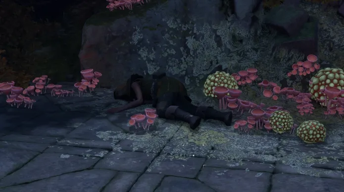 Vailian Dueling Ring