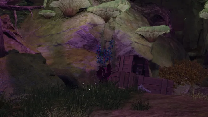 हाइलिया का पंजा