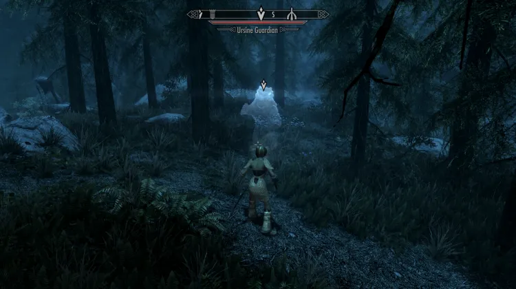 Defeat the Guardian Bear