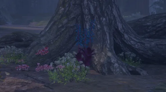 हाइलिया का पंजा