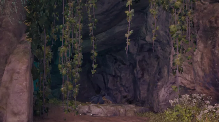 โครงกระดูก