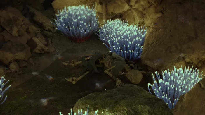 โครงกระดูก