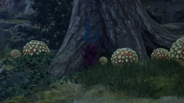 हाइलिया का पंजा