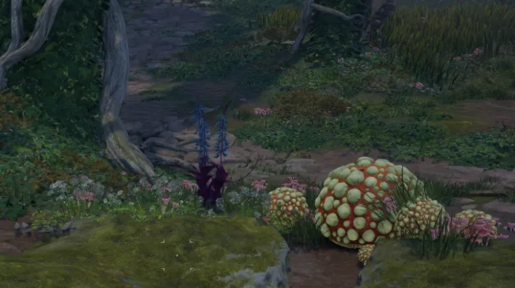 हाइलिया का पंजा