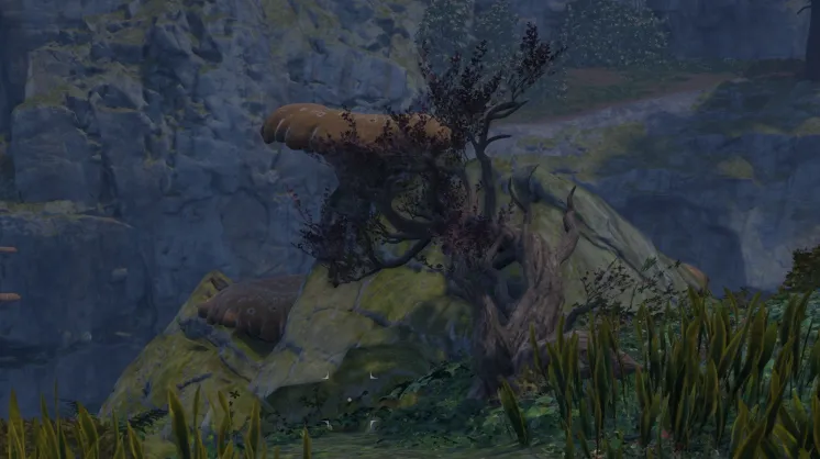 Melone Cuoresanguinario