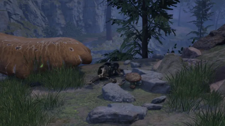 โครงกระดูก