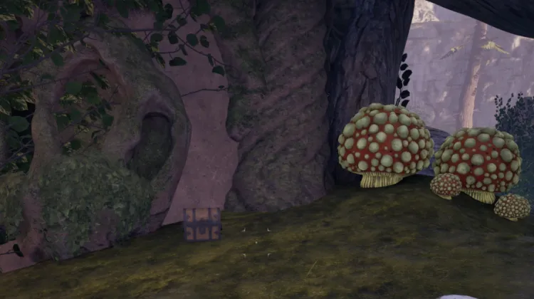 หีบล็อค