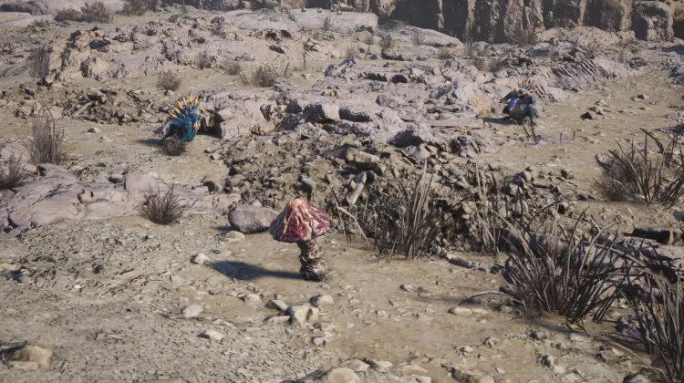 Buscador de calor y Tarta de arena