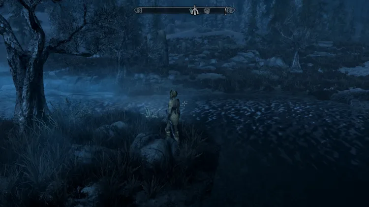 Nirnroot