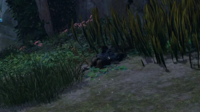 โครงกระดูก