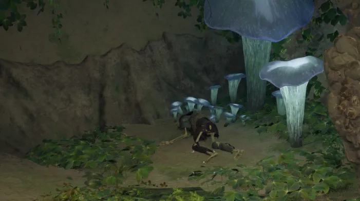 โครงกระดูก