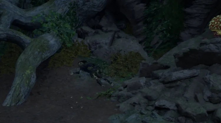 โครงกระดูก