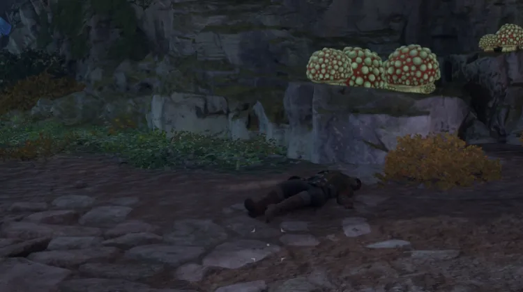 เรนเจอร์