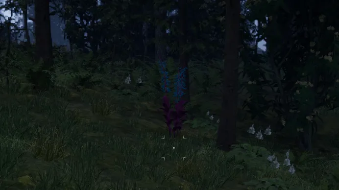 हाइलिया का पंजा