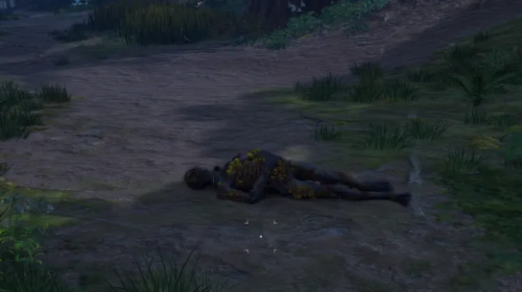 Property of Joseph Abaccio