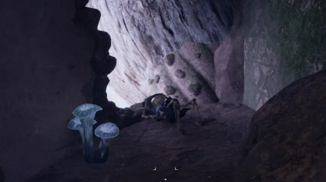 โครงกระดูก