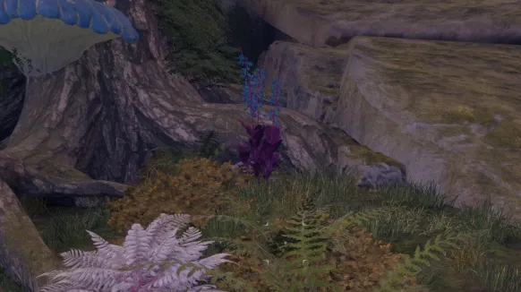 हाइलिया का पंजा