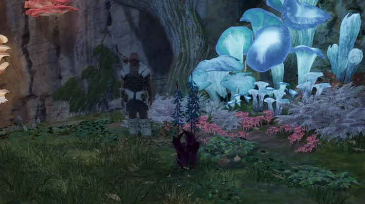 हाइलिया का पंजा