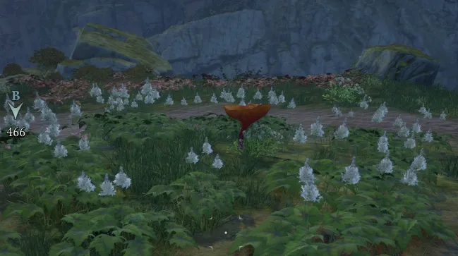 Benedizione di Magran