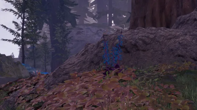 हाइलिया का पंजा