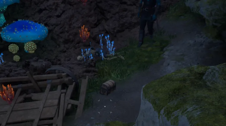 หีบล็อค