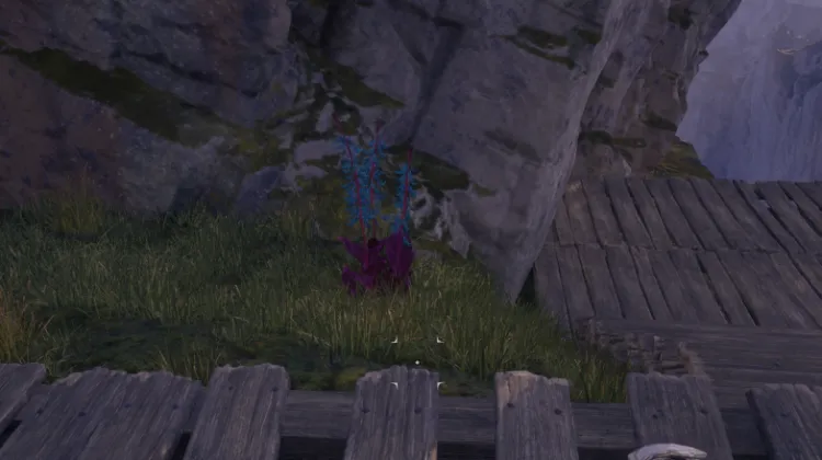 हाइलिया का पंजा