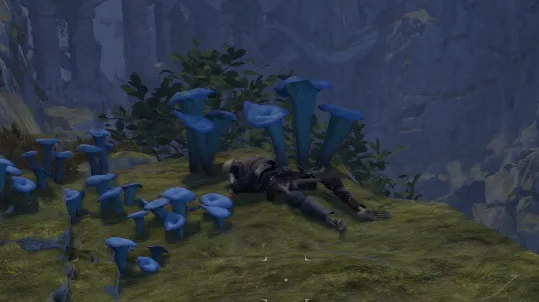 โครงกระดูก