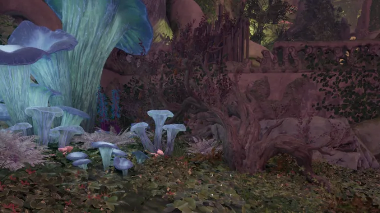 Melone Cuoresanguinario