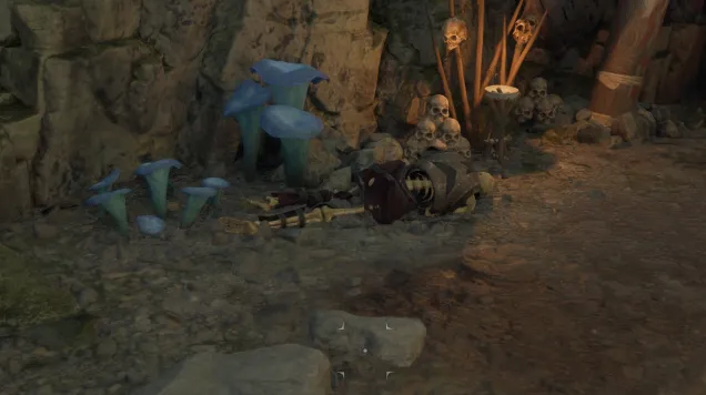 โครงกระดูก